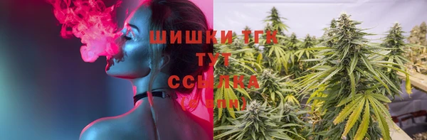 прущие грибы Алексин
