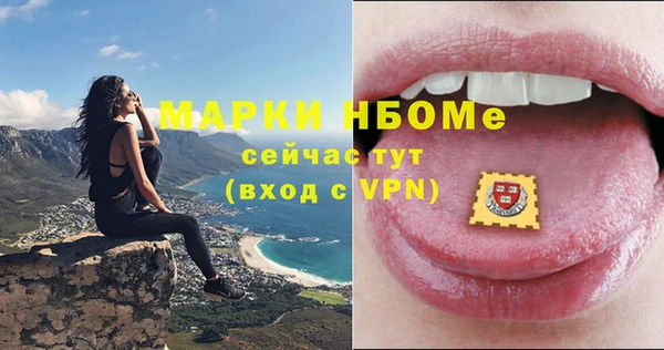 хмурый Алзамай