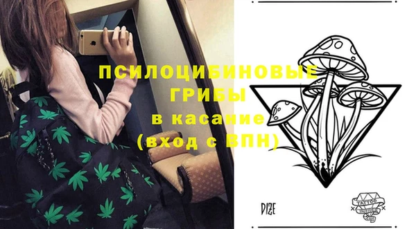 хмурый Алзамай